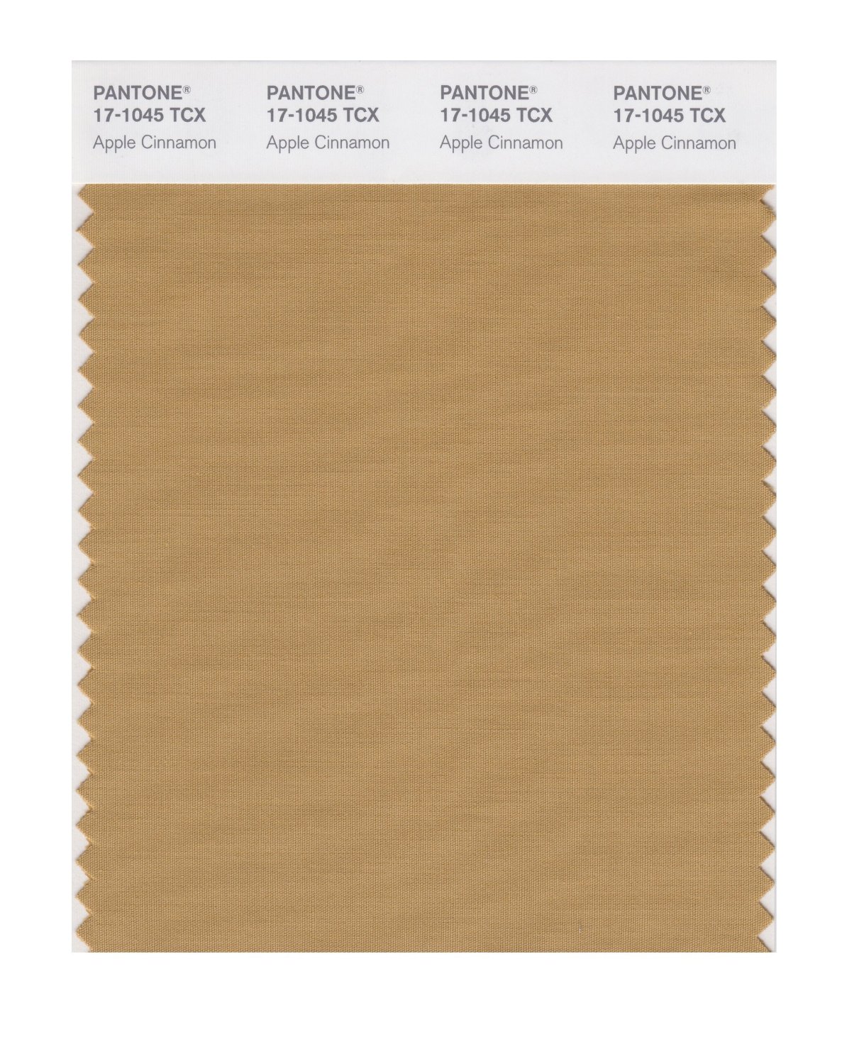 Pantone Cotton Swatch 17-1045 Apple Cinnamon