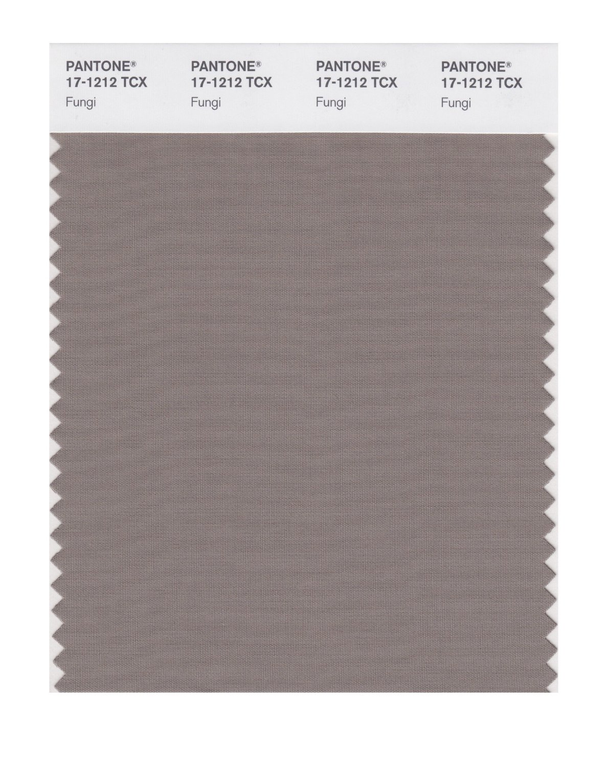 Pantone Cotton Swatch 17-1212 Fungi