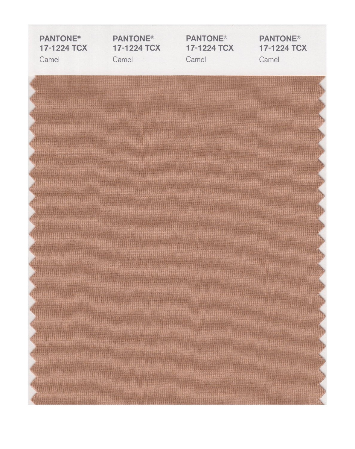 Pantone Cotton Swatch 17-1224 Camel