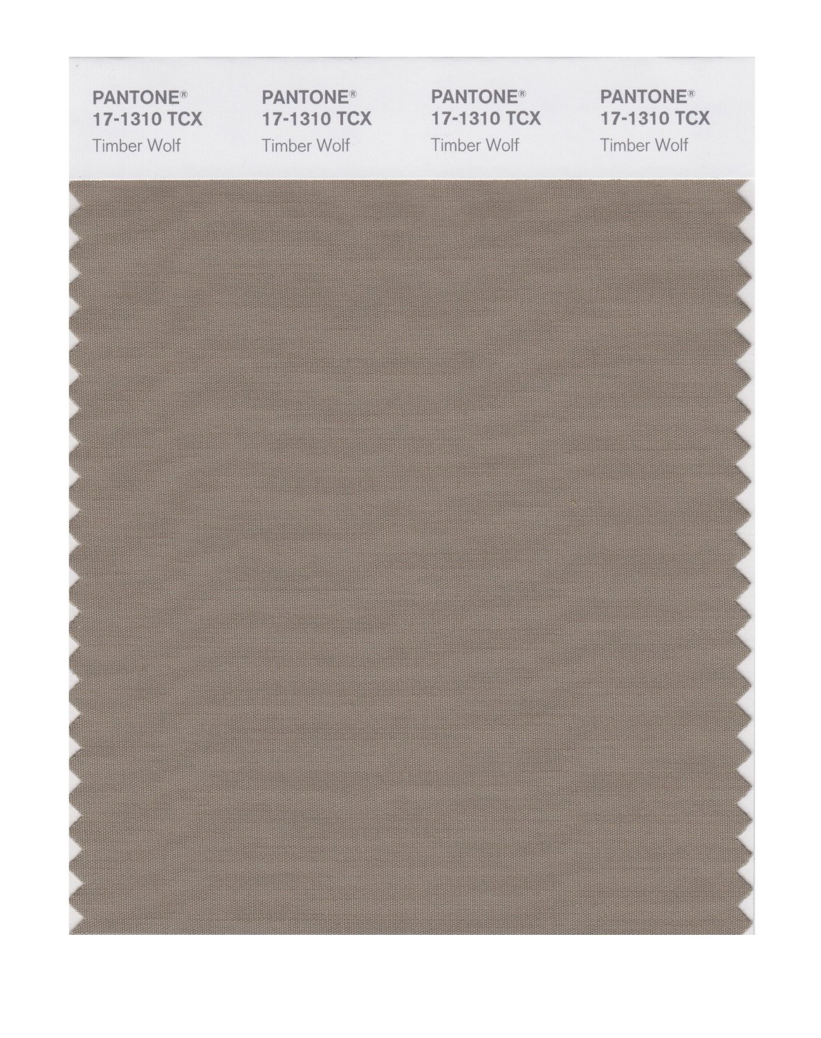 Pantone Cotton Swatch 17-1310 Timber Wolf