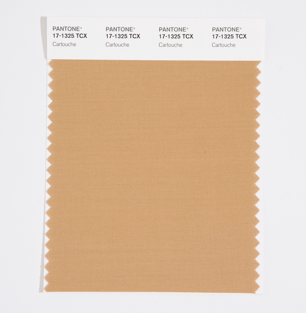 Pantone Cotton Swatch 17-1325 Cartouche