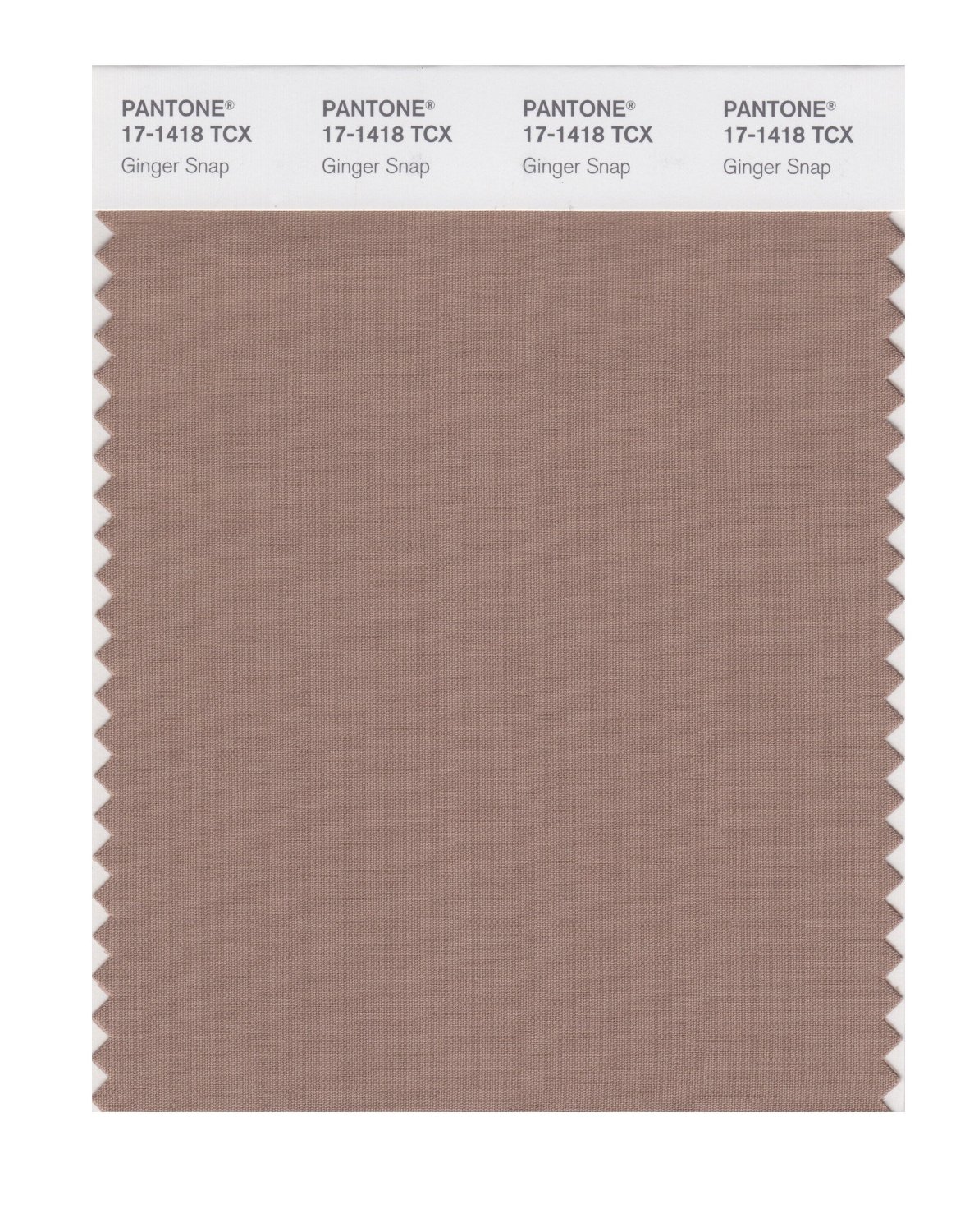 Pantone Cotton Swatch 17-1418 Ginger Snap