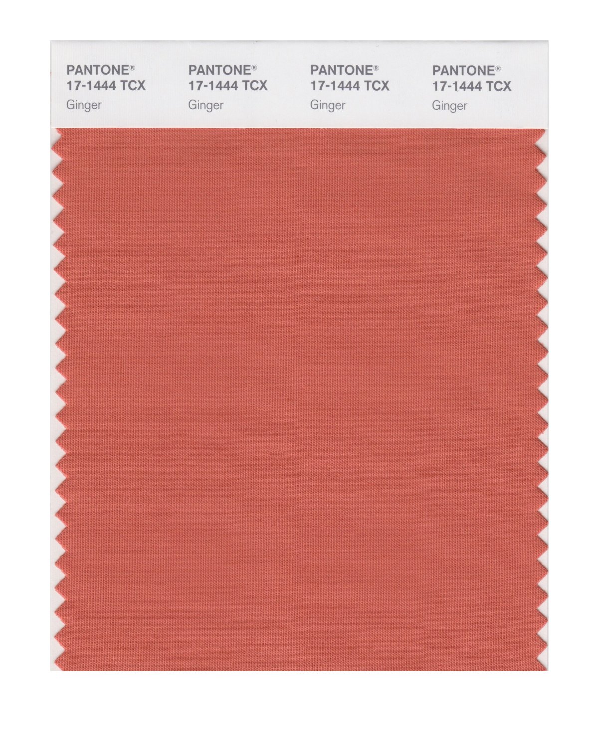 Pantone Cotton Swatch 17-1444 Ginger