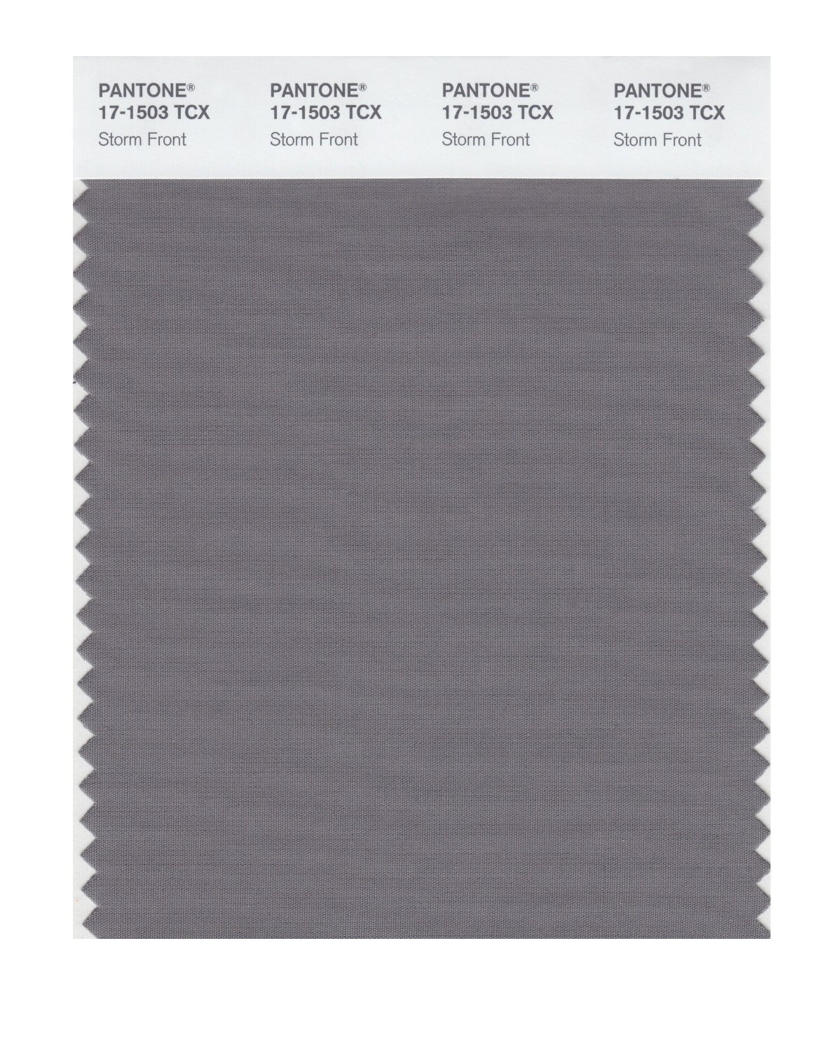 Pantone Cotton Swatch 17-1503 Storm Front