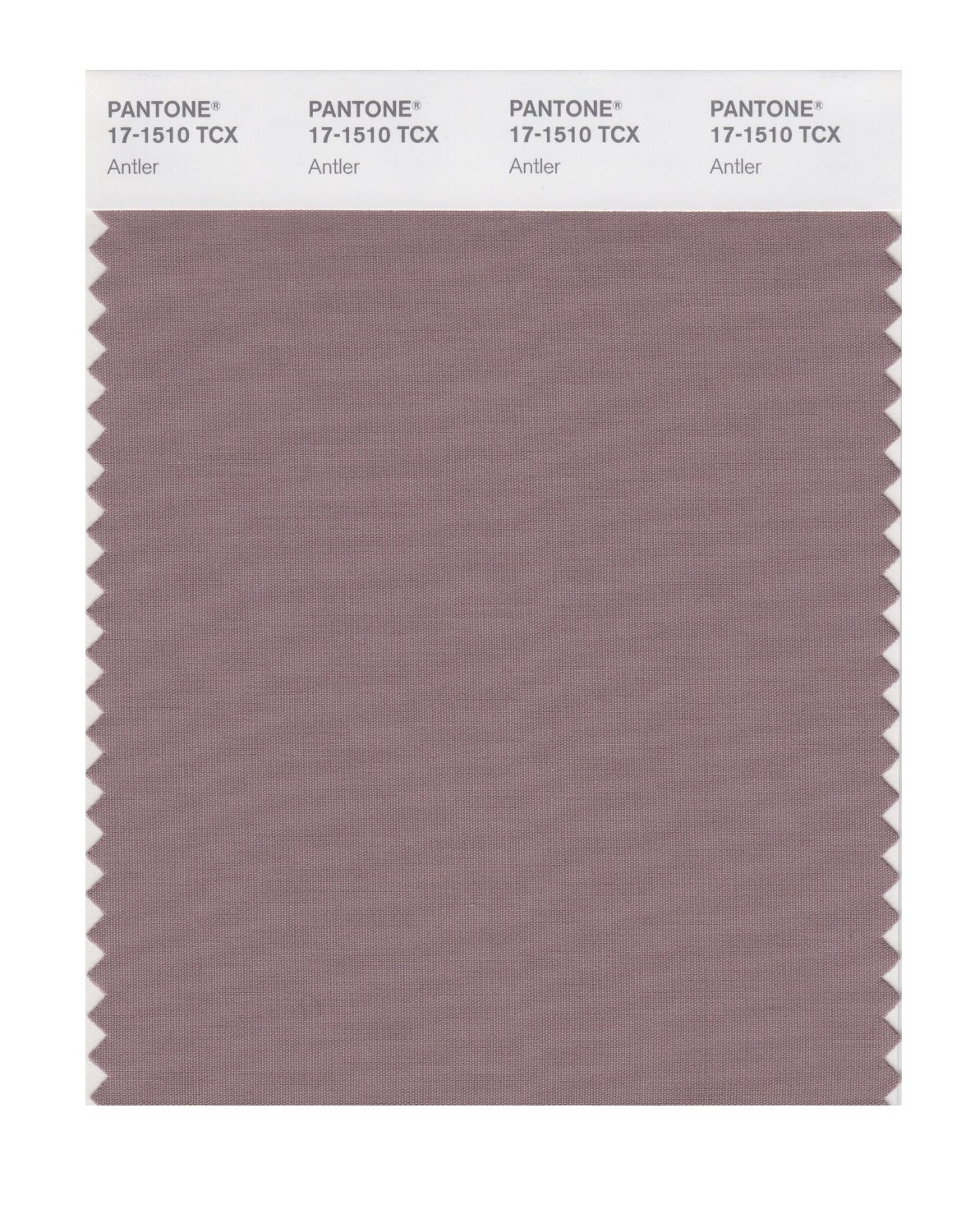 Pantone Cotton Swatch 17-1510 Antler