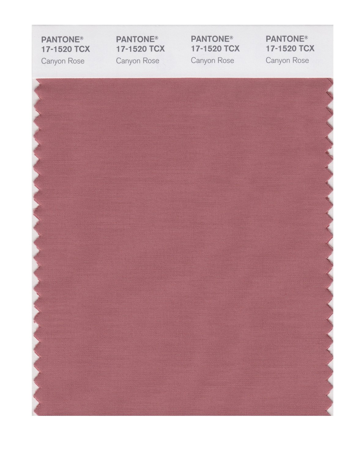 Pantone Cotton Swatch 17-1520 Canyon Rose