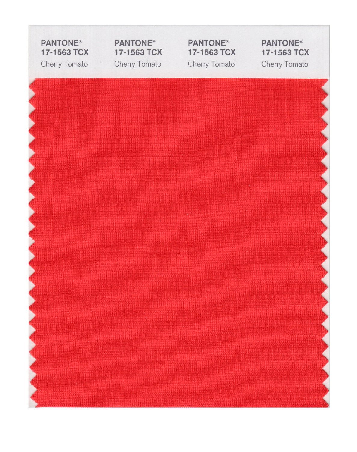 Pantone Cotton Swatch 17-1563 Cherry Tomato