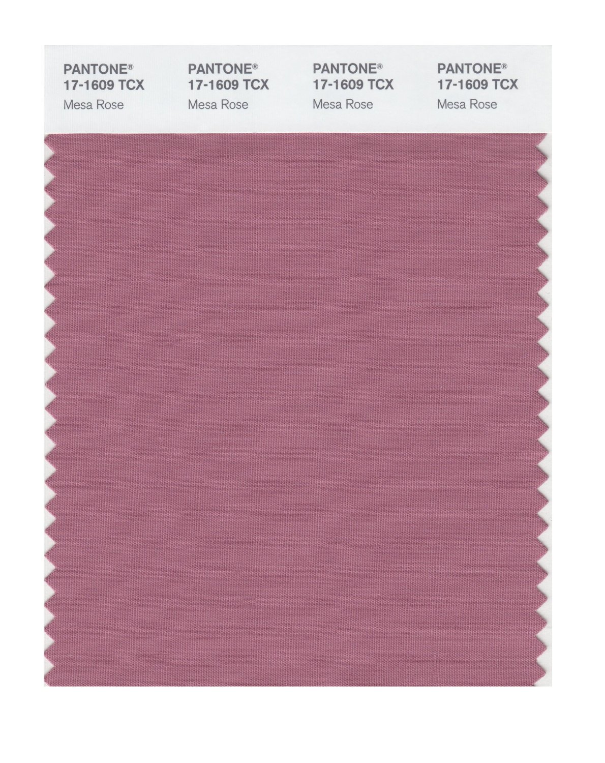 Pantone Cotton Swatch 17-1609 Mesa Rose