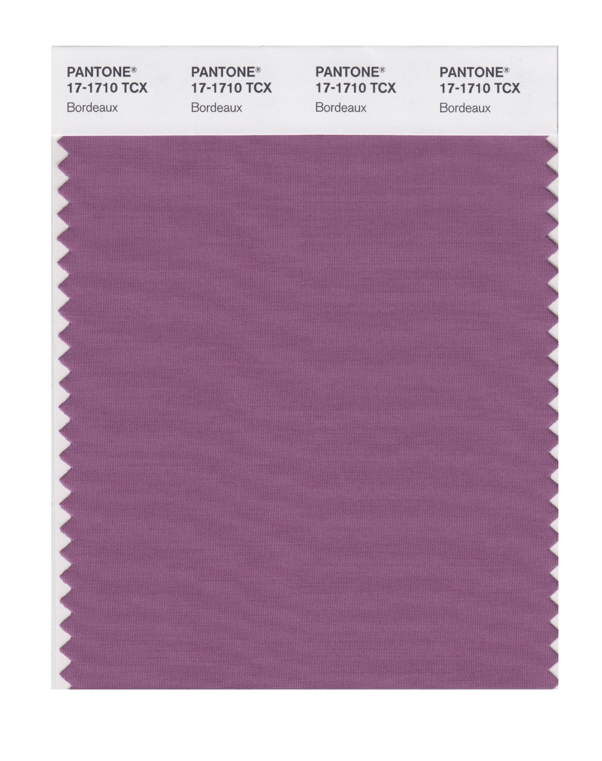 Pantone Cotton Swatch 17-1710 Bordeaux