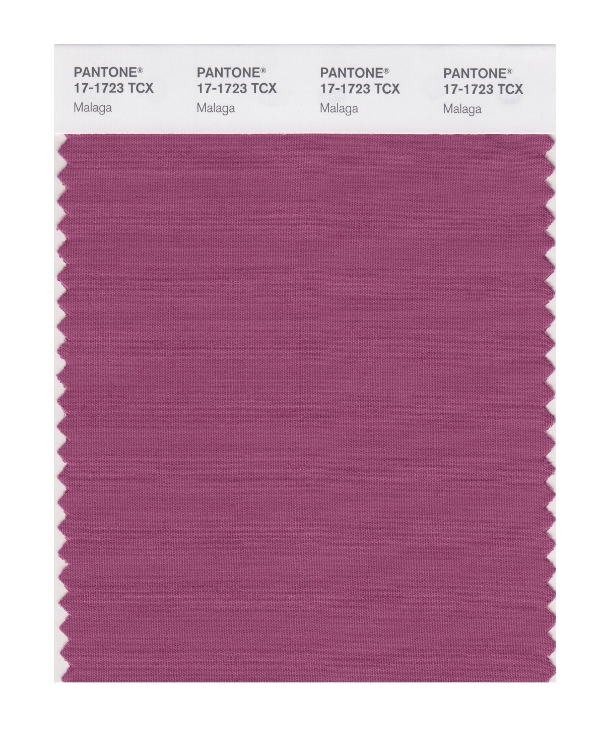 Pantone Cotton Swatch 17-1723 Malaga