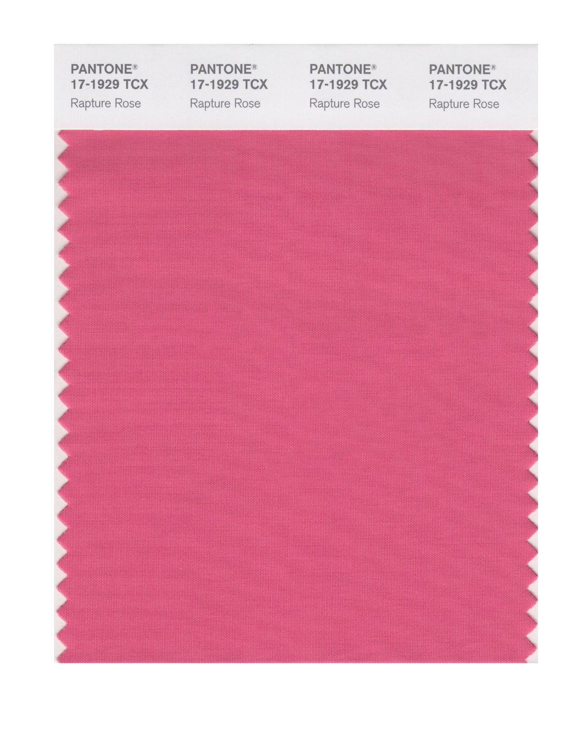 Pantone Cotton Swatch 17-1929 Rapture Rose