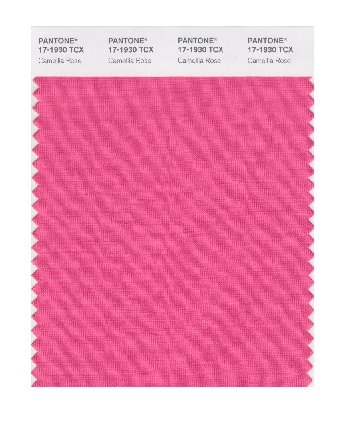 Pantone Cotton Swatch 17-1930 Camellia Rose