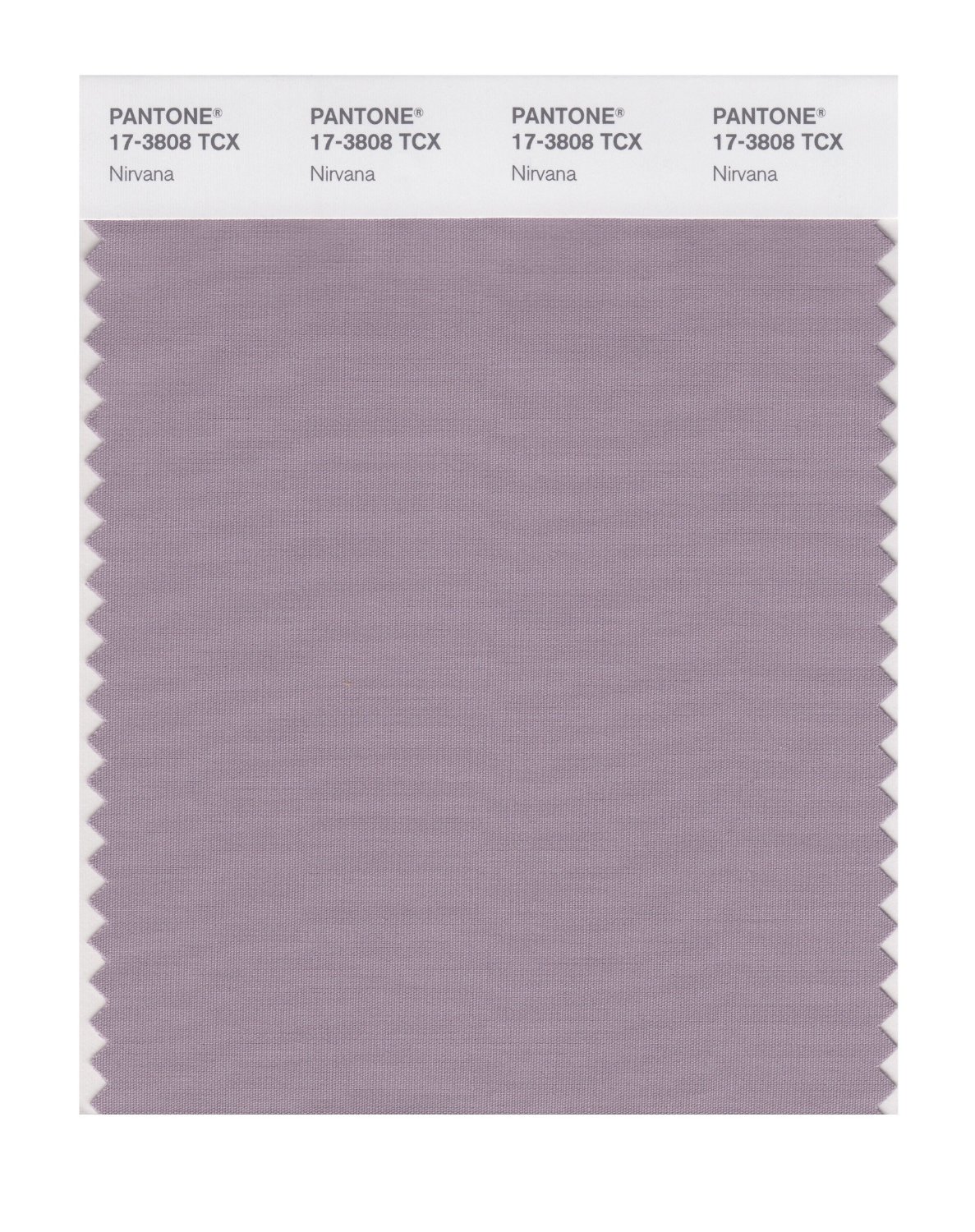 Pantone Cotton Swatch 17-3808 Nirvana