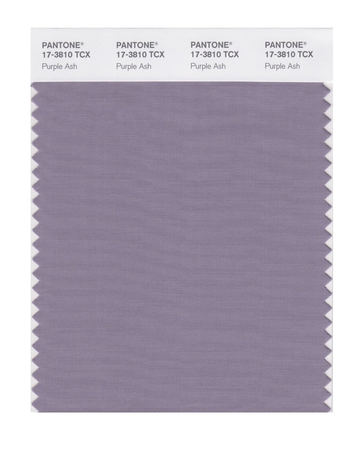 Pantone Cotton Swatch 17-3810 Purple Ash