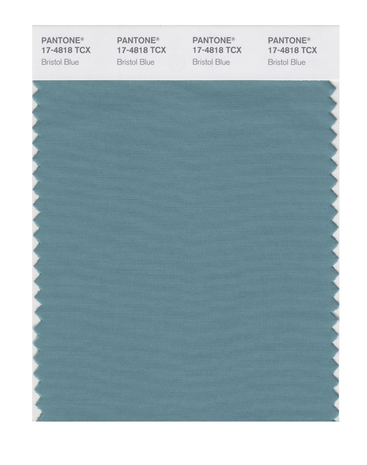 Pantone Cotton Swatch 17-4818 Bristol Blue