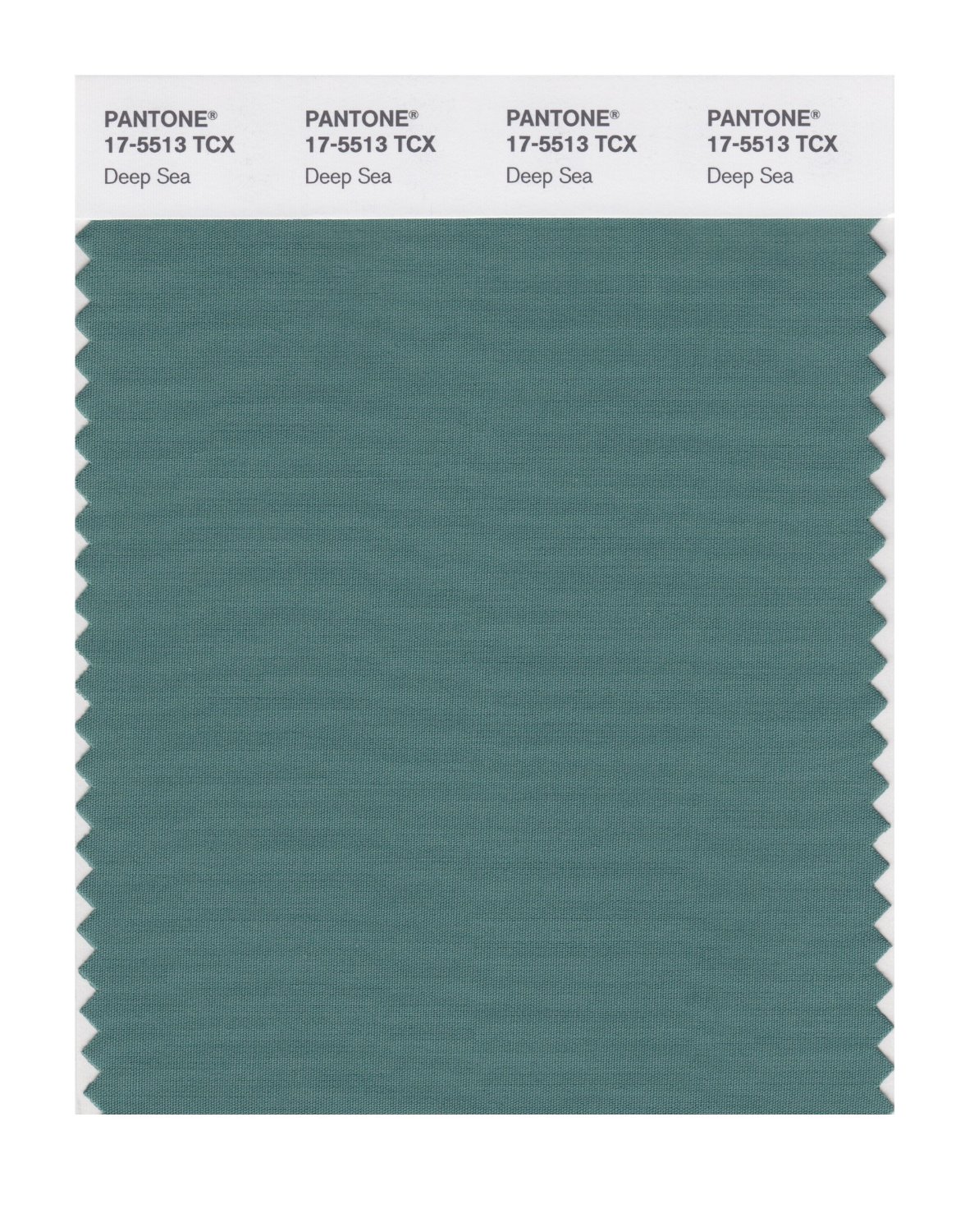 Pantone Cotton Swatch 17-5513 Deep Sea