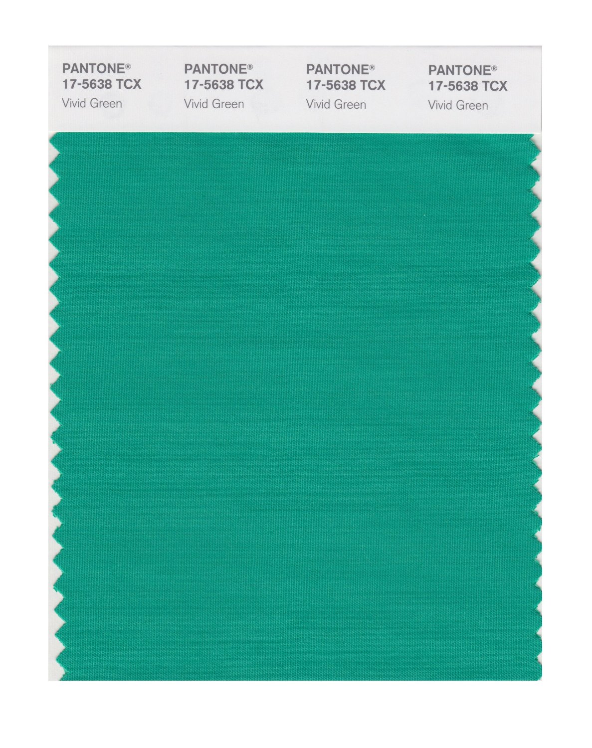 Pantone Cotton Swatch 17-5638 Vivid Green.
