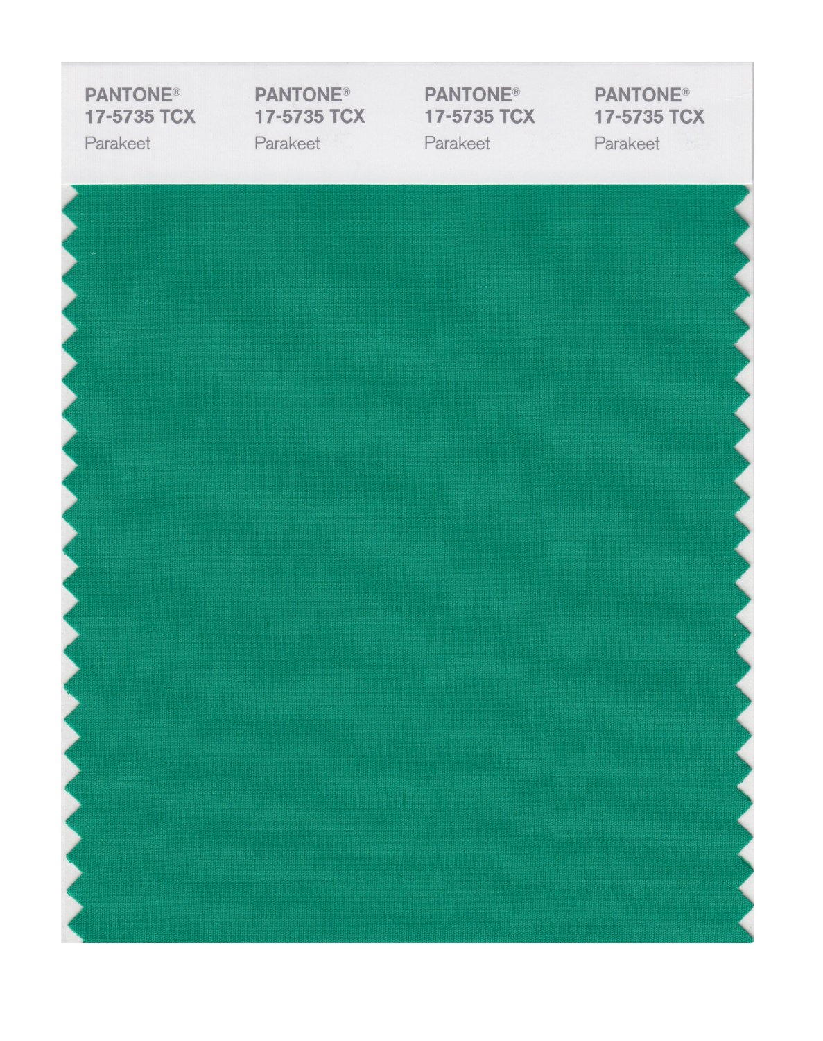 Pantone Cotton Swatch 17-5735 Parakeet