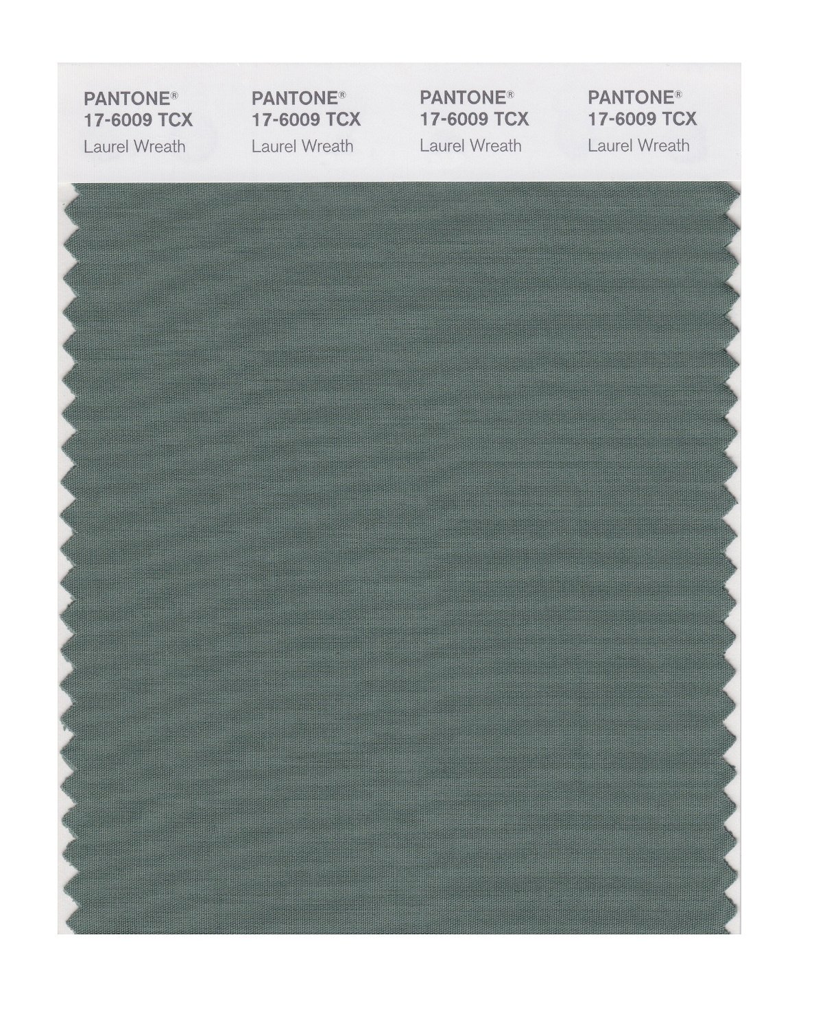 Pantone Cotton Swatch 17-6009 Laurel Wreath