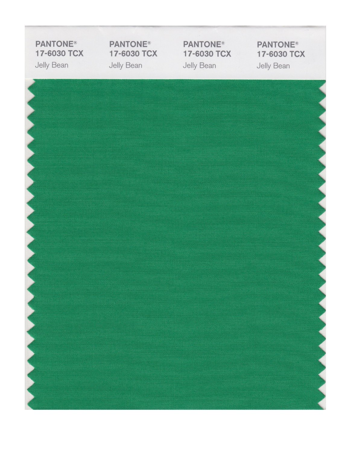 Pantone Cotton Swatch 17-6030 Jelly Bean