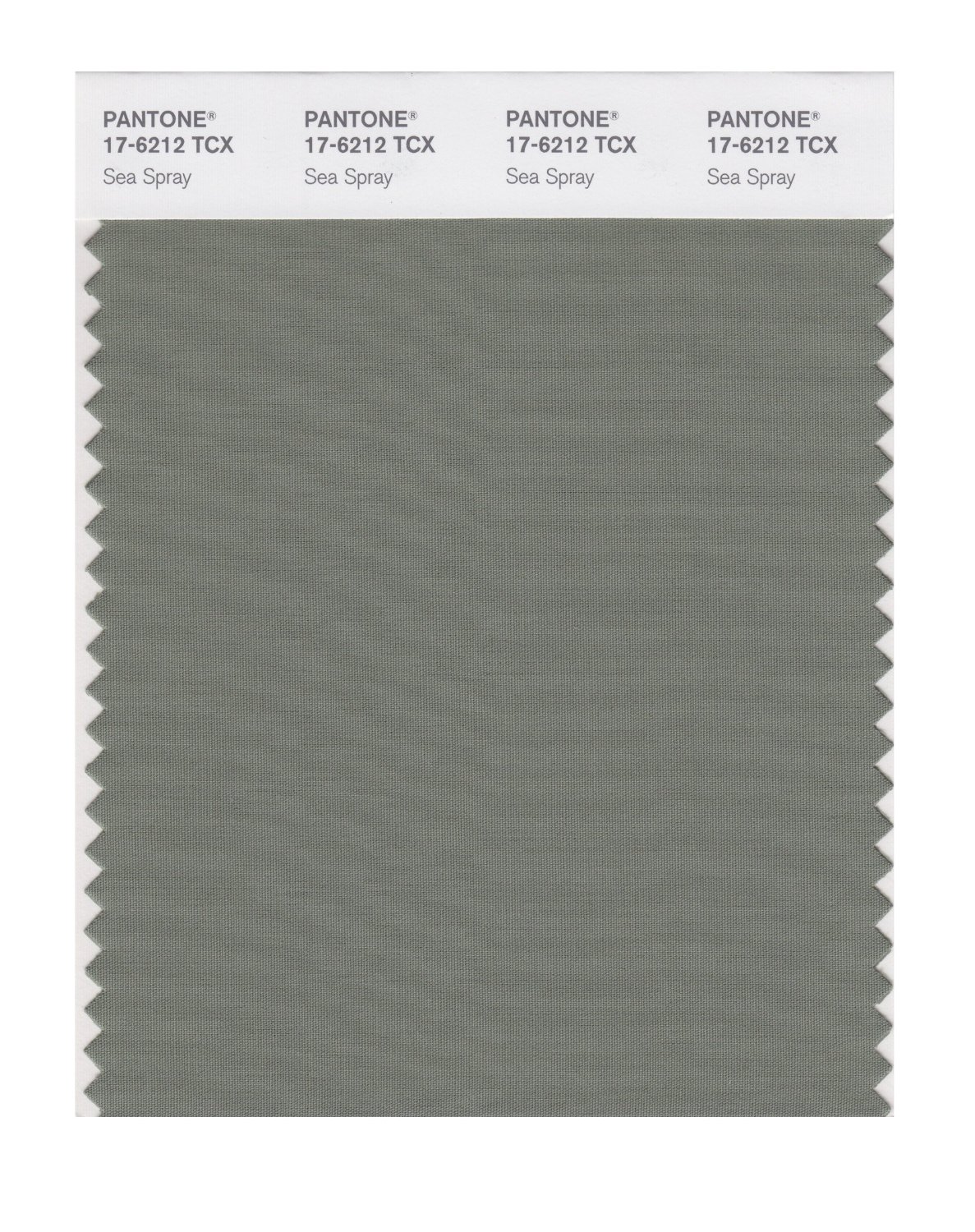 Pantone Cotton Swatch 17-6212 Sea Spray