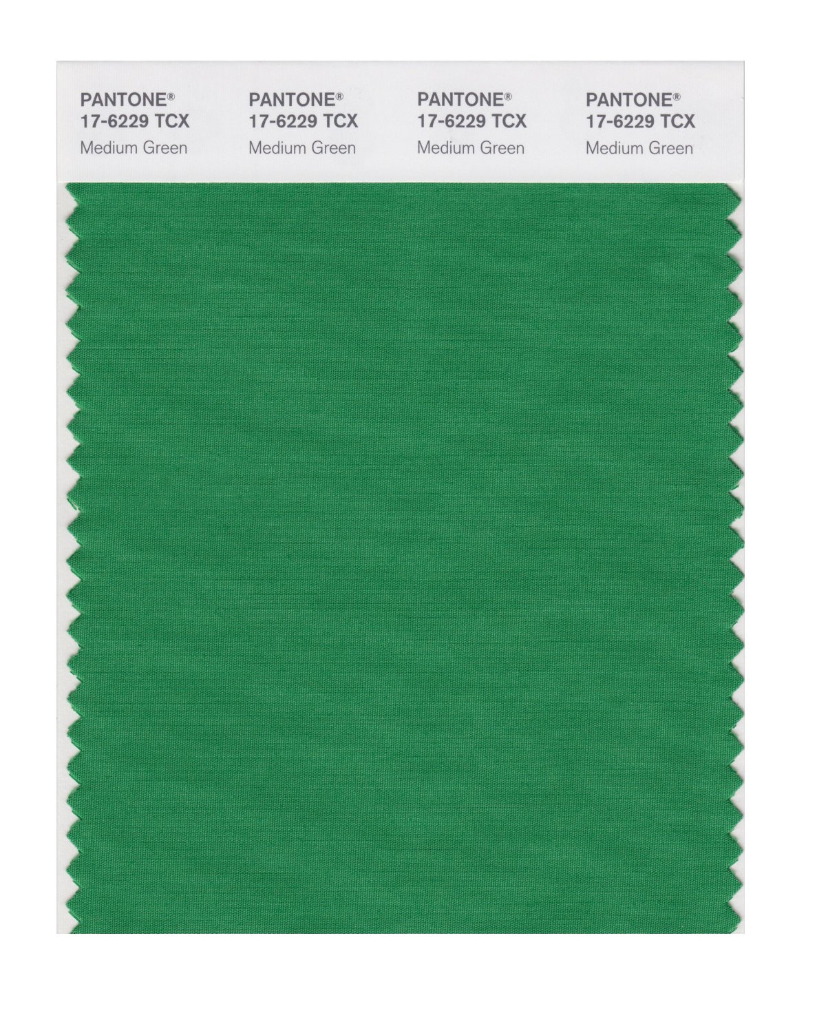 Pantone Cotton Swatch 17-6229 Medium Green