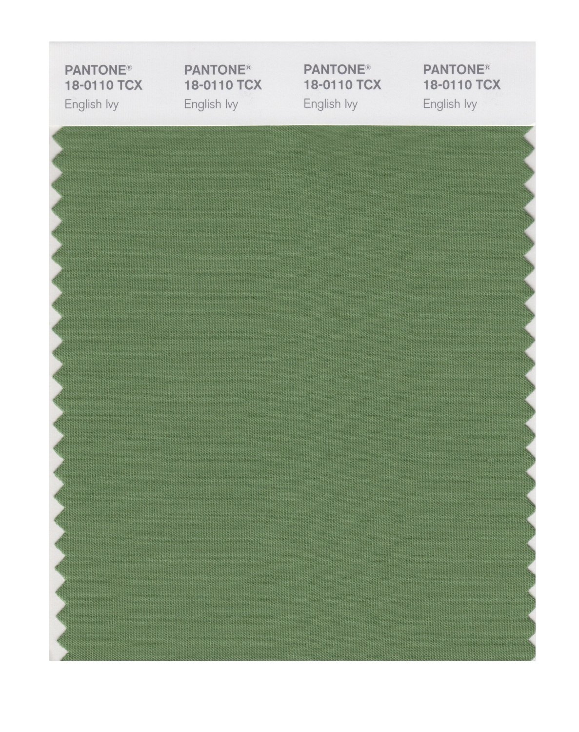 Pantone Cotton Swatch 18-0110 English Ivy