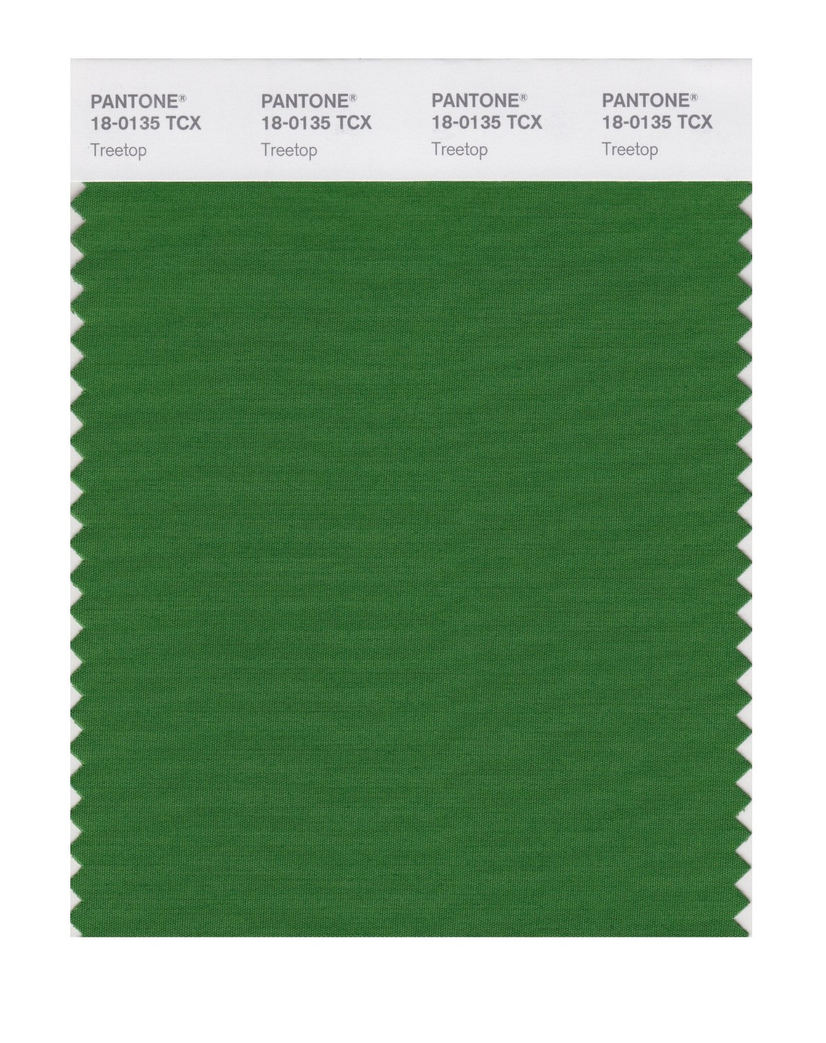 Pantone Cotton Swatch 18-0135 Treetop