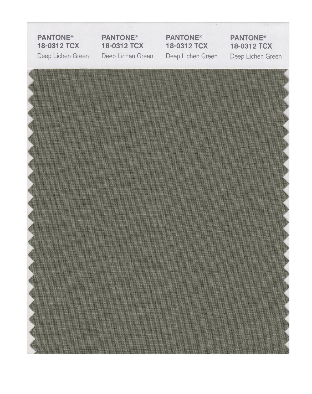 BUY Pantone Cotton Swatch 18-0312 Dp Lichen Green