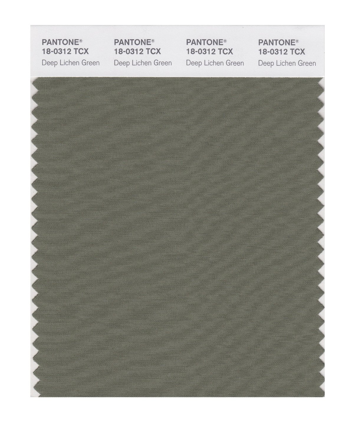 Pantone Cotton Swatch 18-0312 Dp Lichen Green