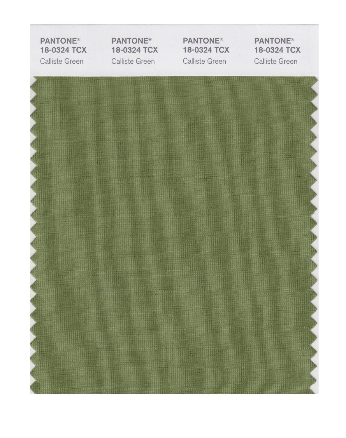 Pantone Cotton Swatch 18-0324 Calliste Green