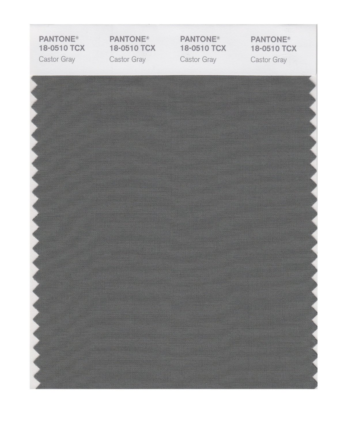 Pantone Cotton Swatch 18-0510 Castor Gray