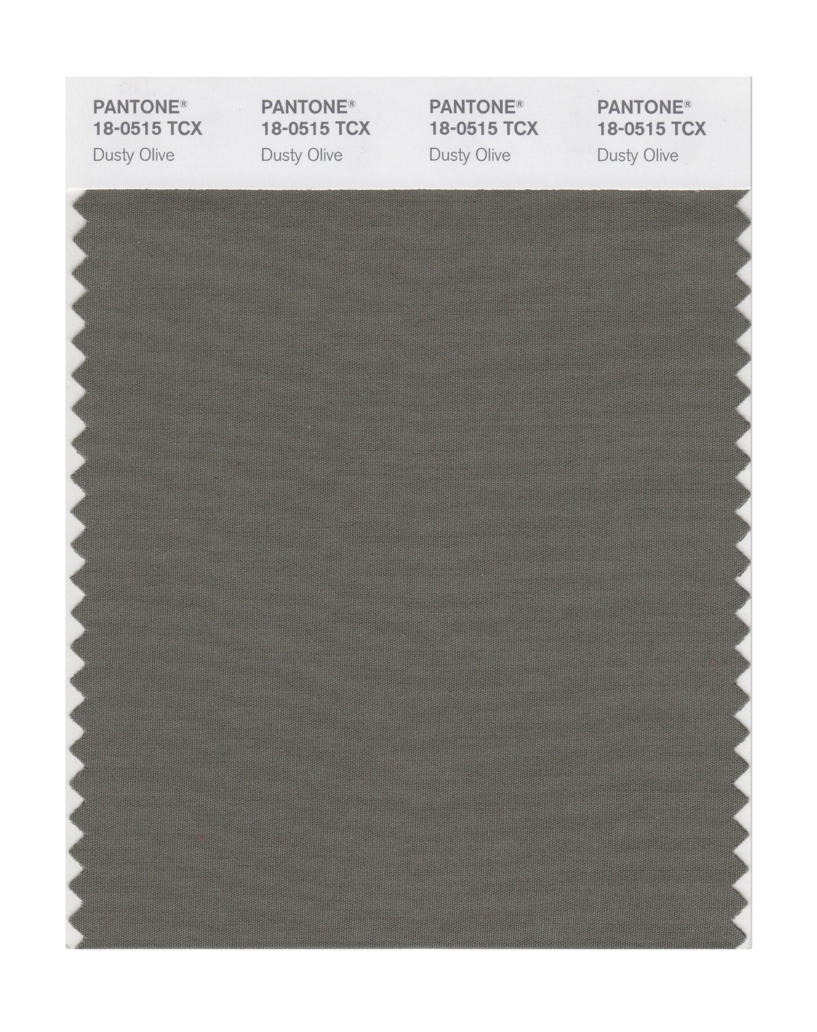 Pantone TPG 8.5X11 Sheet 18-0515 Dusty Olive