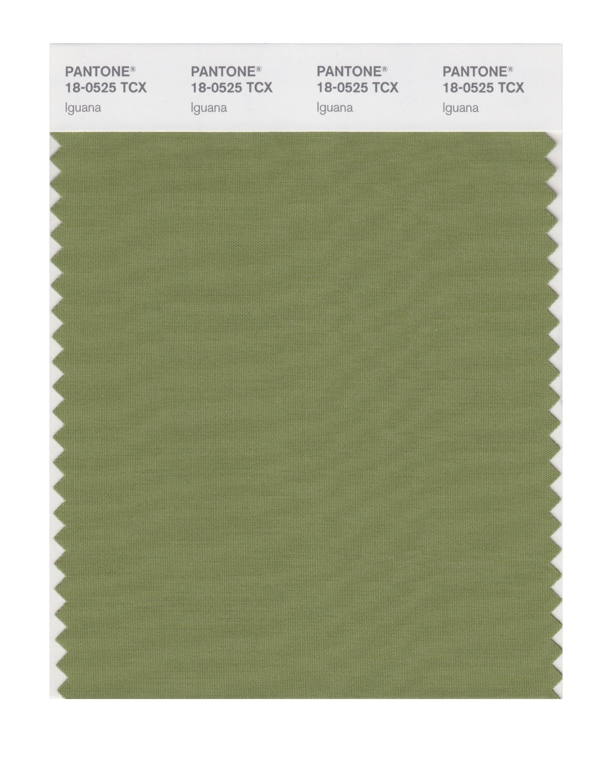 Pantone Cotton Swatch 18-0525 Iguana