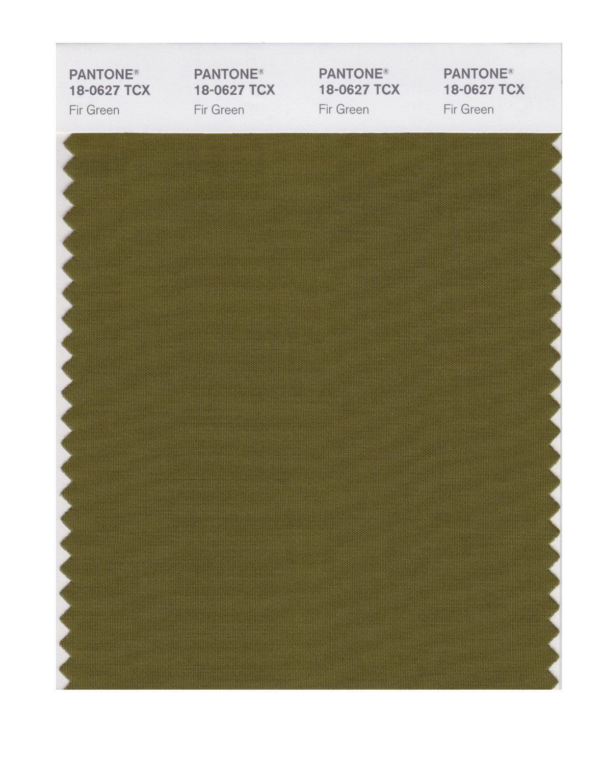 Pantone Cotton Swatch 18-0627 Fir Green