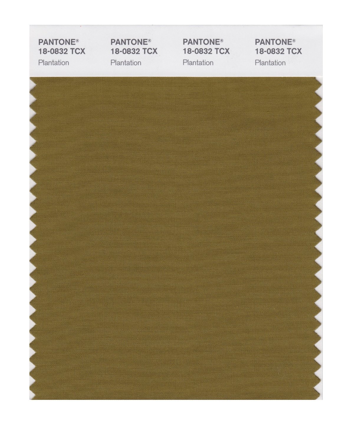 Pantone Cotton Swatch 18-0832 Plantation