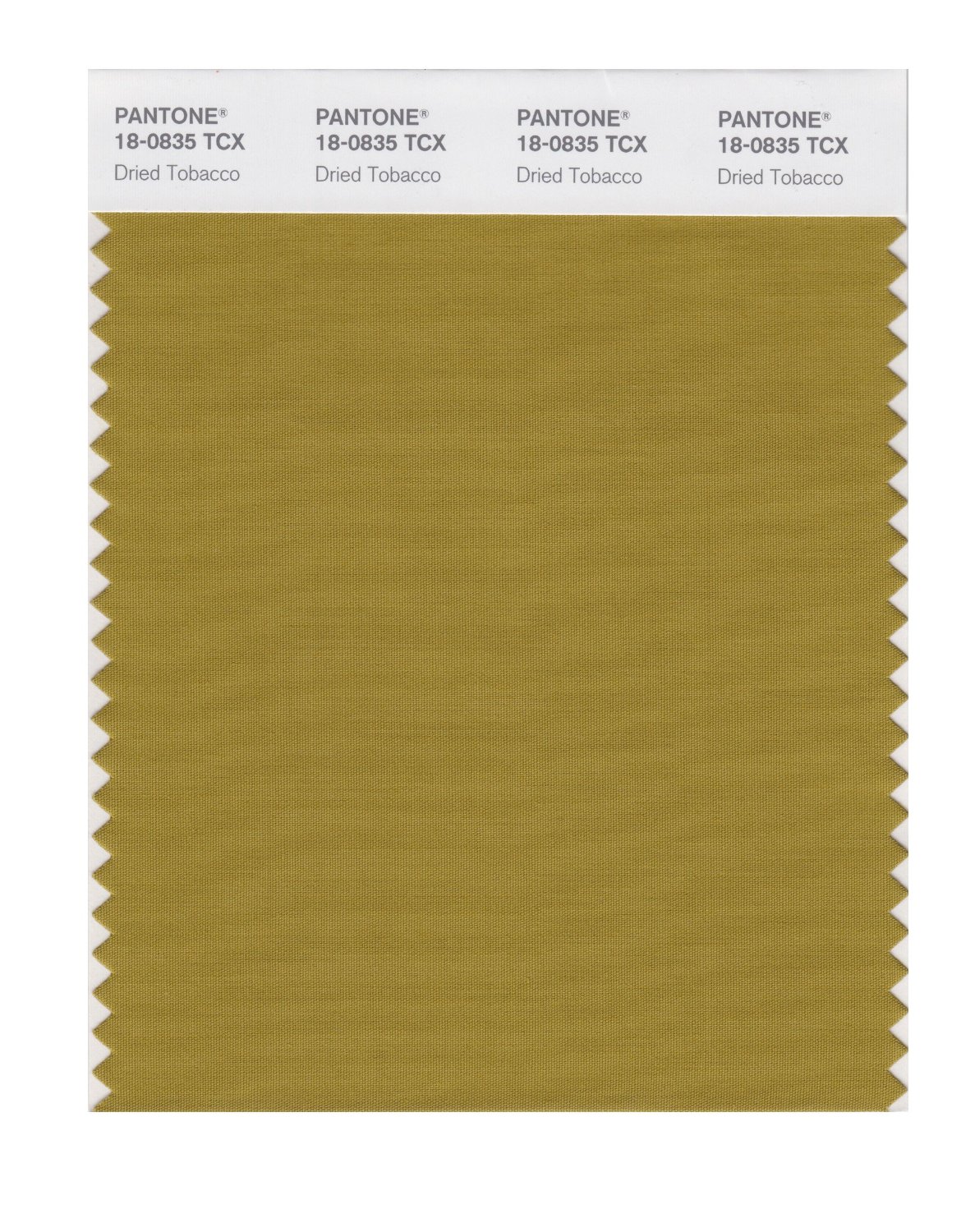 Pantone Cotton Swatch 18-0835 Dried Tobacco