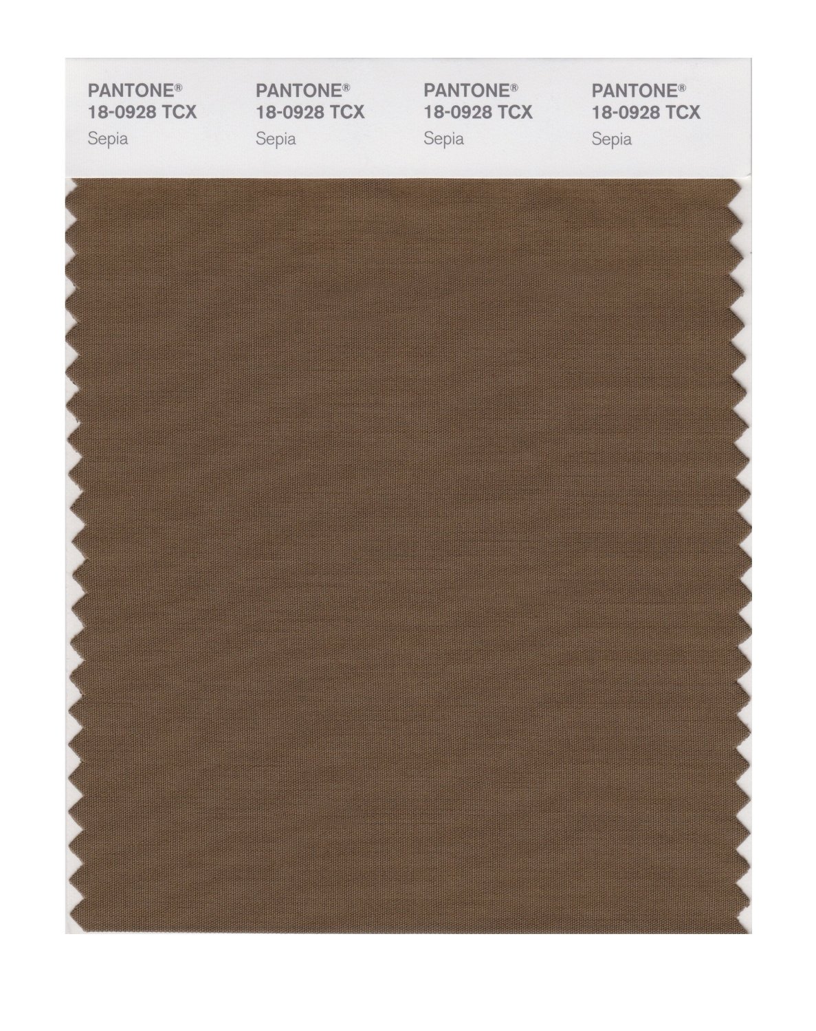 Pantone Cotton Swatch 18-0928 Sepia