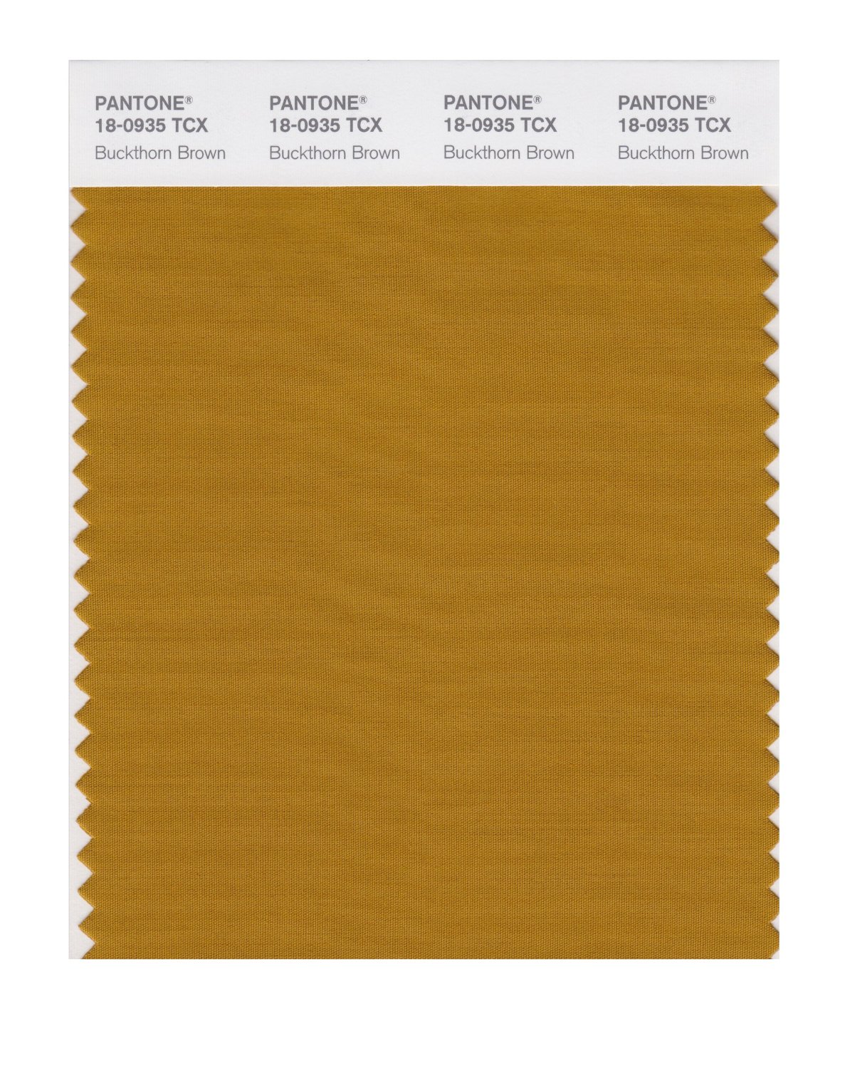 Pantone Cotton Swatch 18-0935 Buckthorn Brown