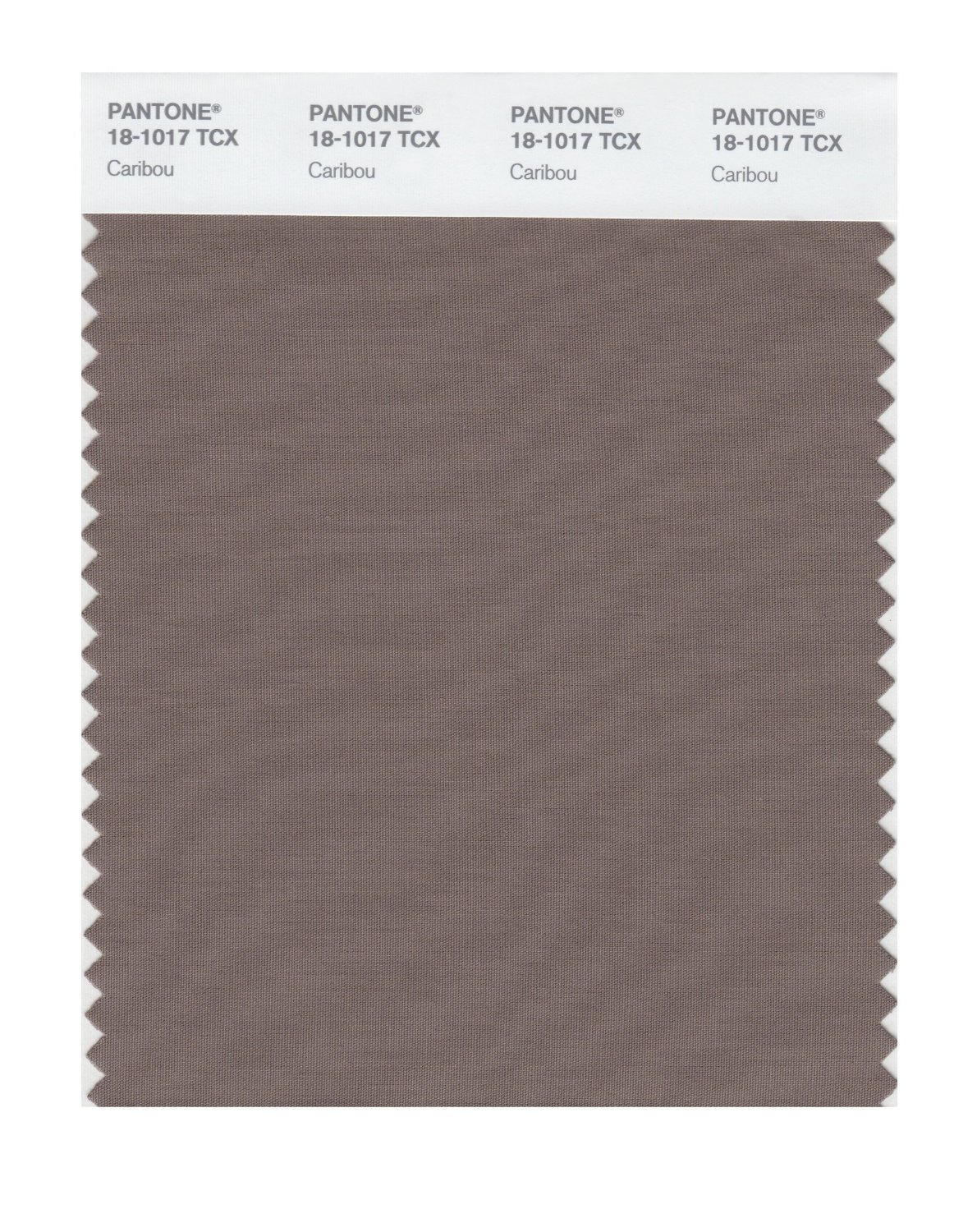 Pantone Cotton Swatch 18-1017 Caribou