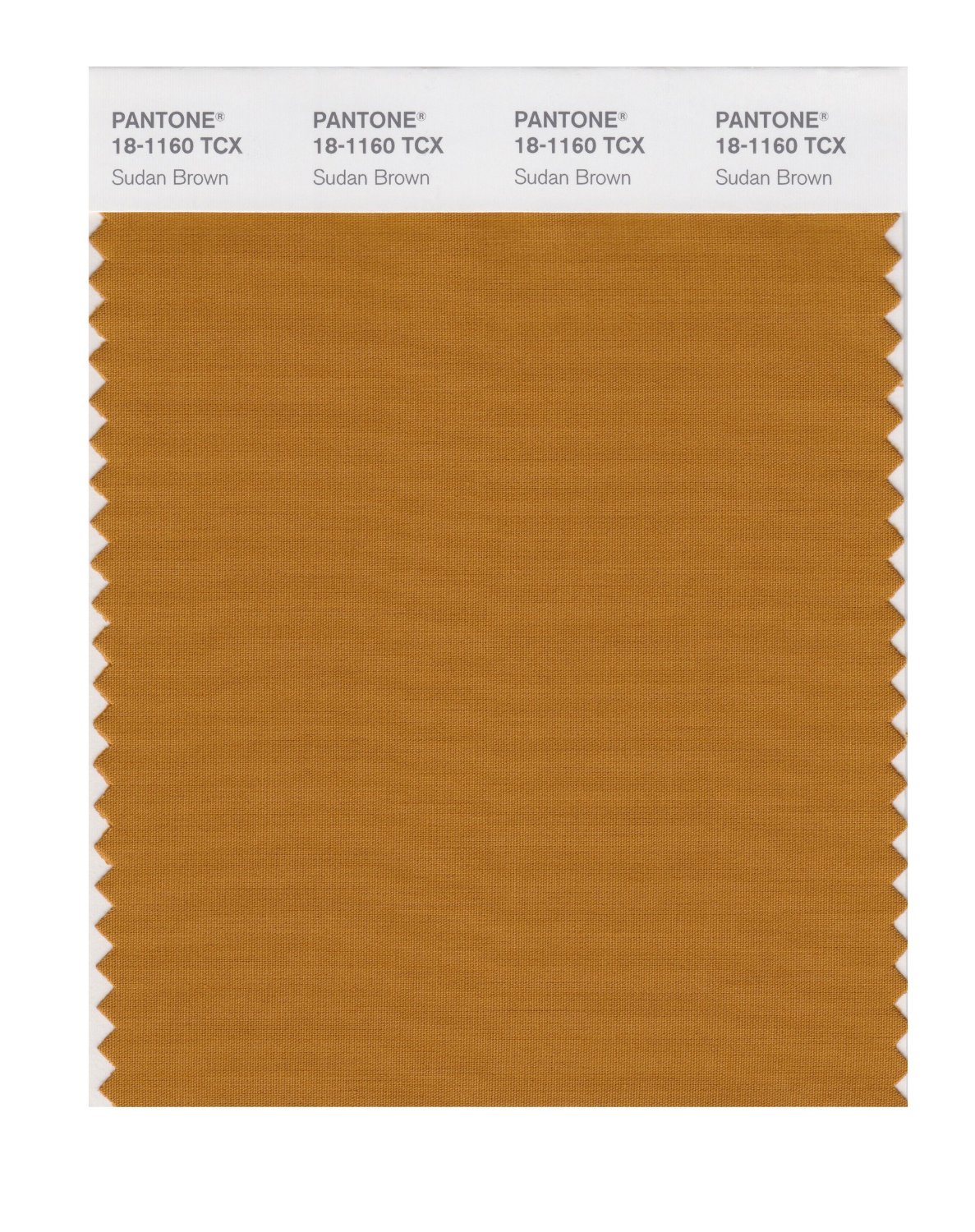 Pantone Cotton Swatch 18-1160 Sudan Brown