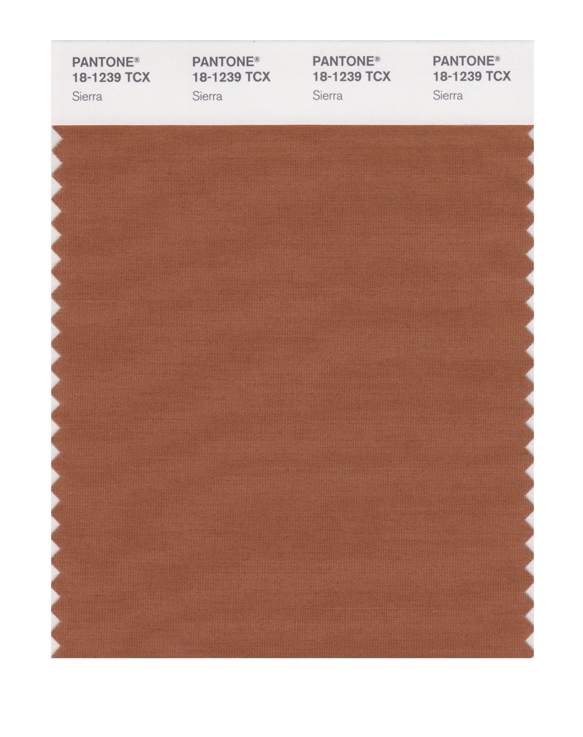 Pantone Cotton Swatch 18-1239 Sierra