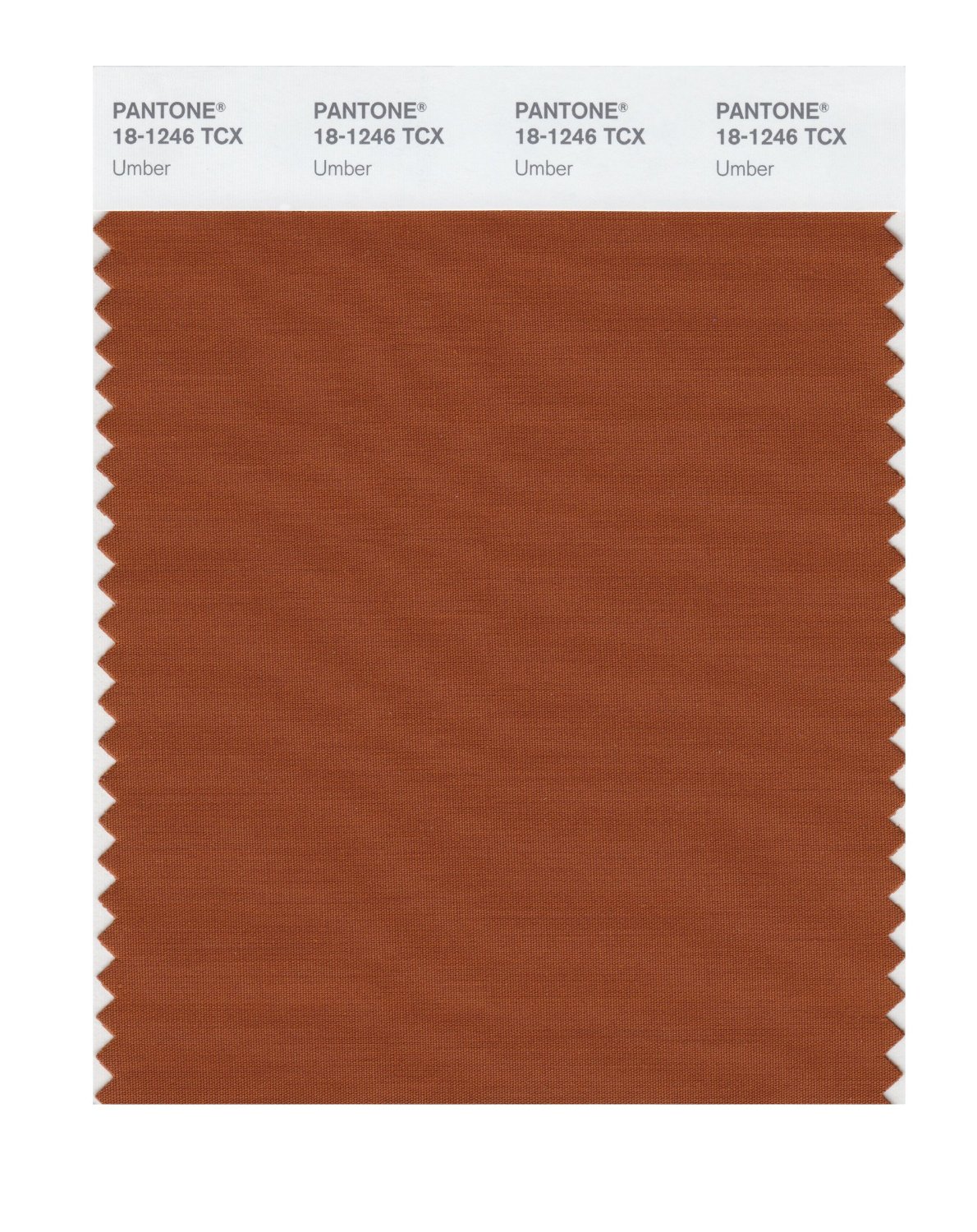 Pantone Cotton Swatch 18-1246 Umber