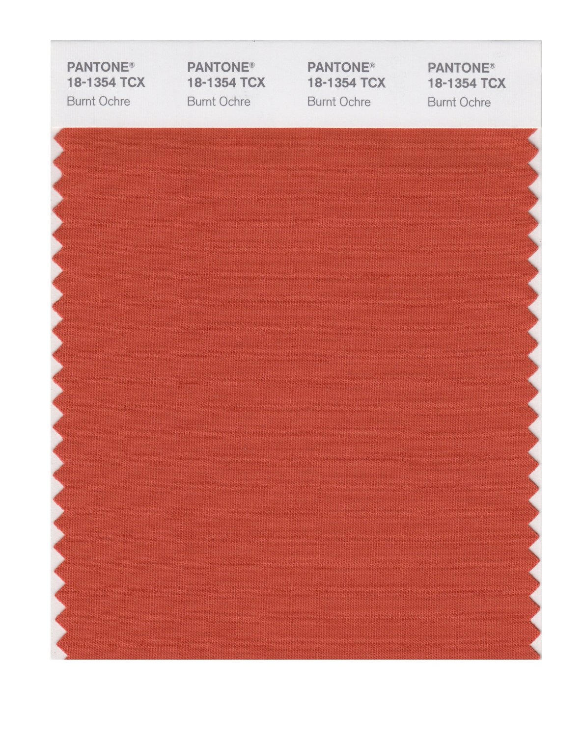 Pantone Cotton Swatch 18-1354 Burnt Ochre