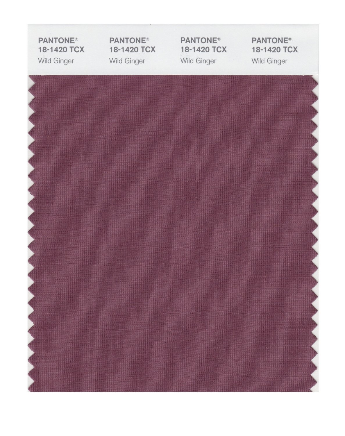 Pantone Cotton Swatch 18-1420 Wild Ginger