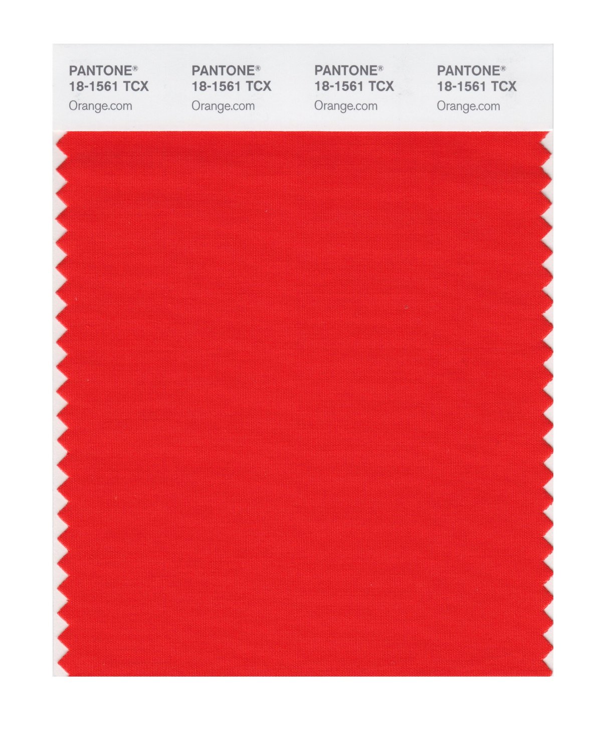 Pantone Cotton Swatch 18-1561 Orange.com