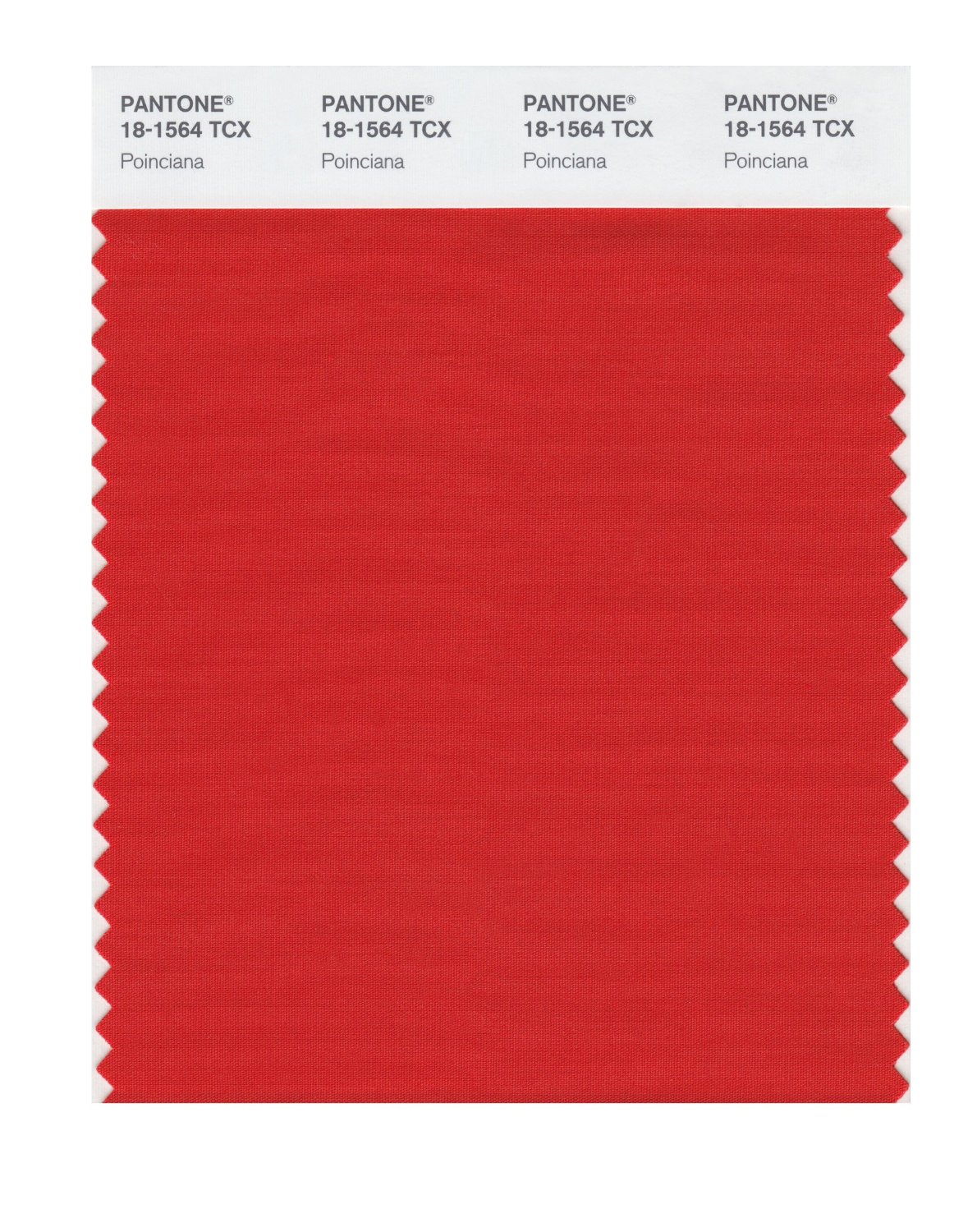 Pantone Cotton Swatch 18-1564 Poinciana