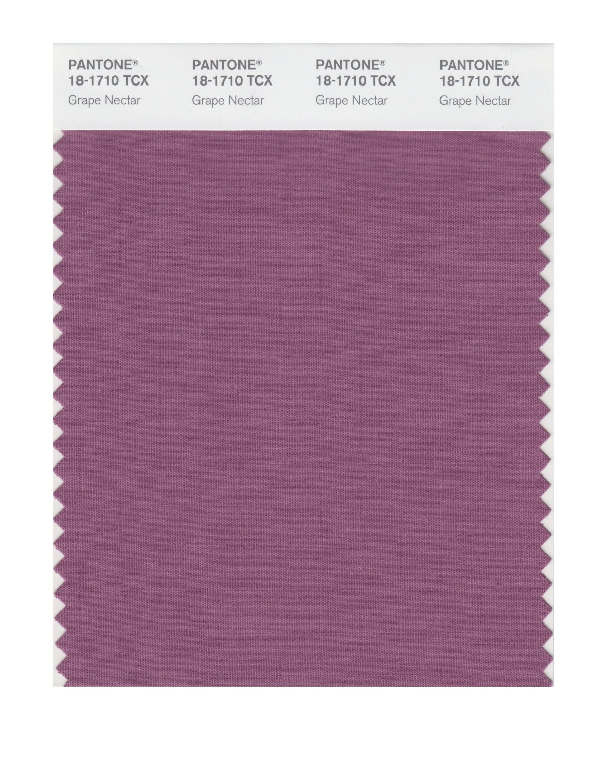 Pantone Cotton Swatch 18-1710 Grape Nectar