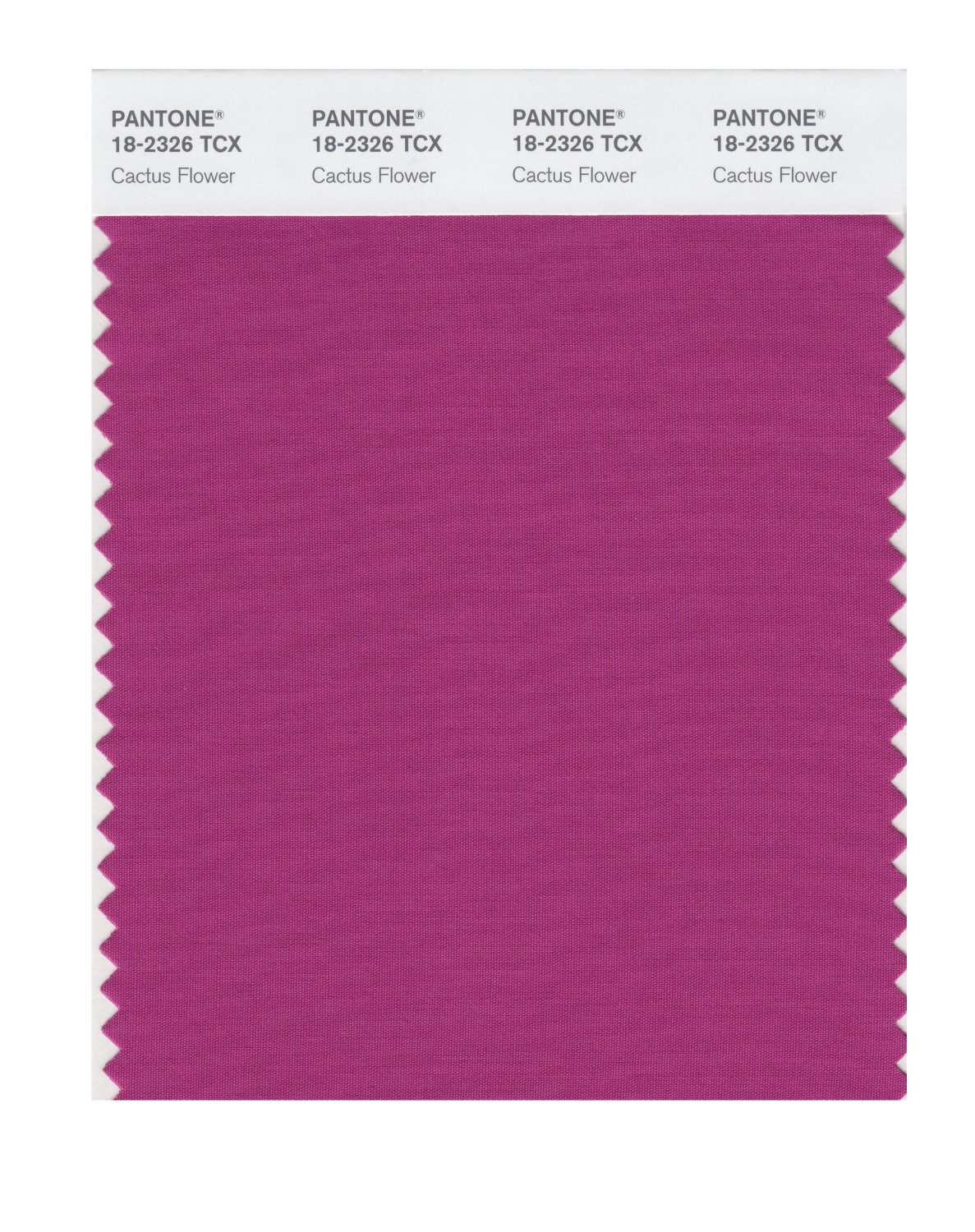 Pantone Cotton Swatch 18-2326 Cactus Flower