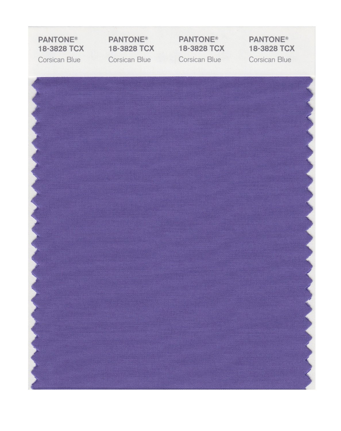 Pantone Cotton Swatch 18-3828 Corsican Blue